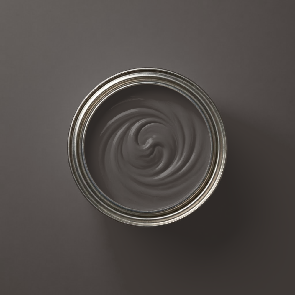 Paint & Paper Library Verf Copper Beech - 314