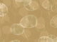 Eijffinger Roots - 363332
