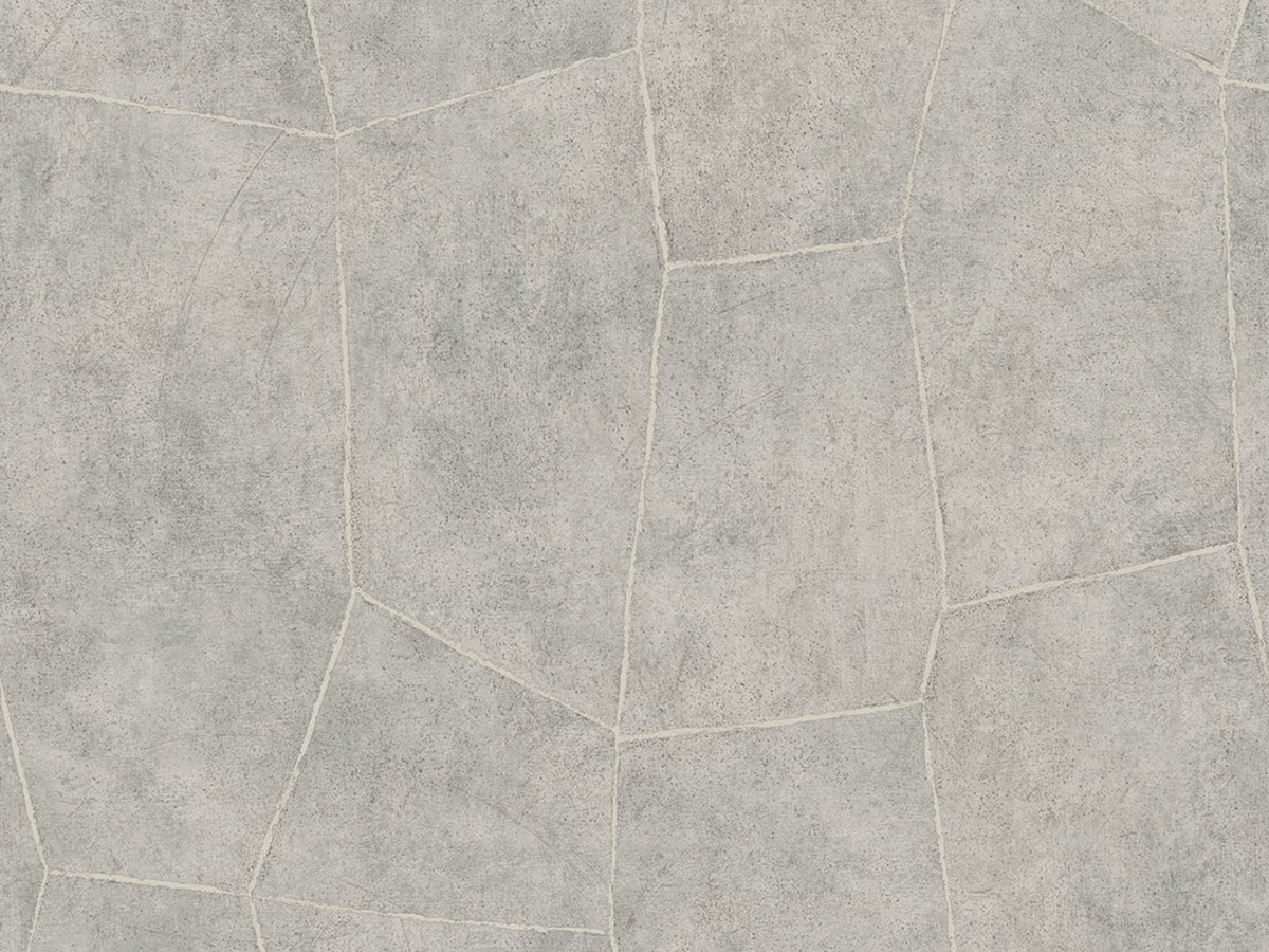 HookedOnWalls Livingstone Flagstone 53725 behang