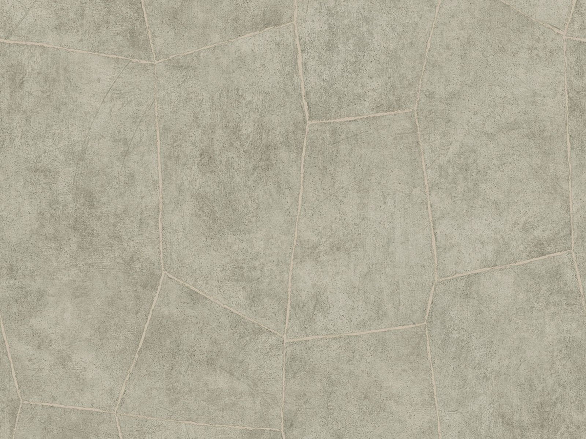 HookedOnWalls Livingstone Flagstone 53726 behang