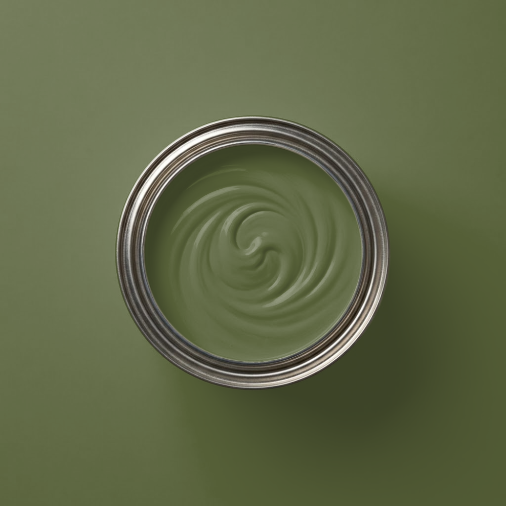 Little Greene Verf Jewel Beetle - 303