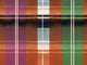 Mind The Gap Transylvanian Rhapsody Kerschdorf Plaid Carrot - WP30280
