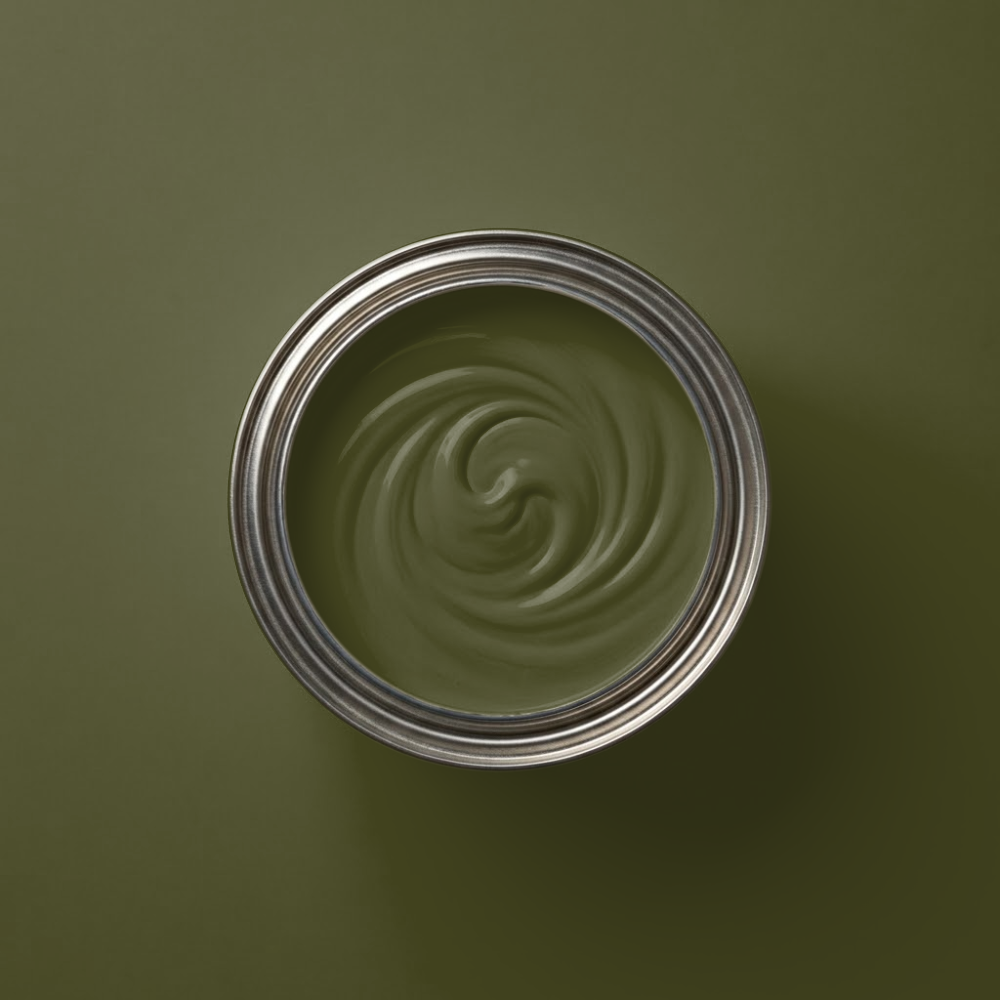 Little Greene Verf Olive Colour - 72