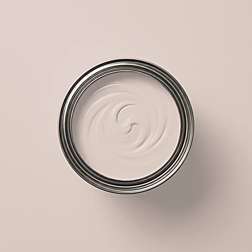 Paint & Paper Library Verf Plaster IV - 404