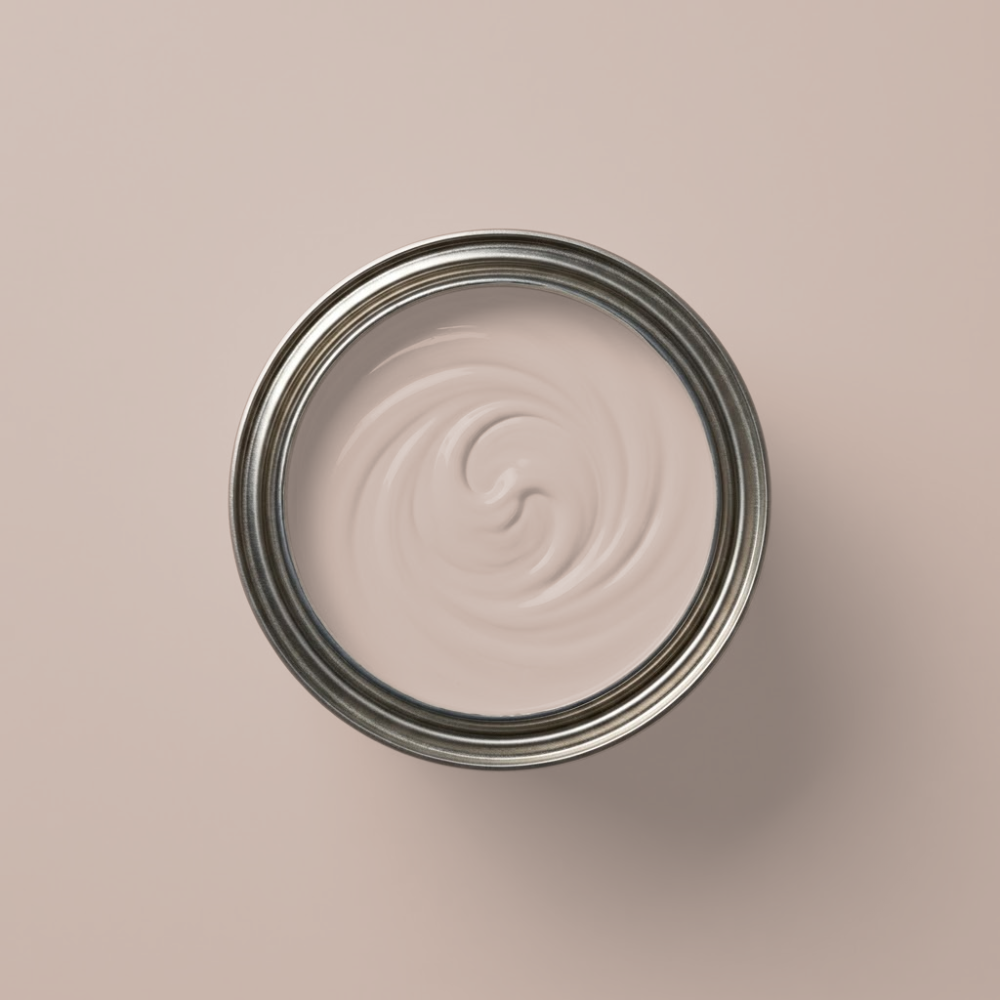 Paint & Paper Library Verf Plaster V - 405