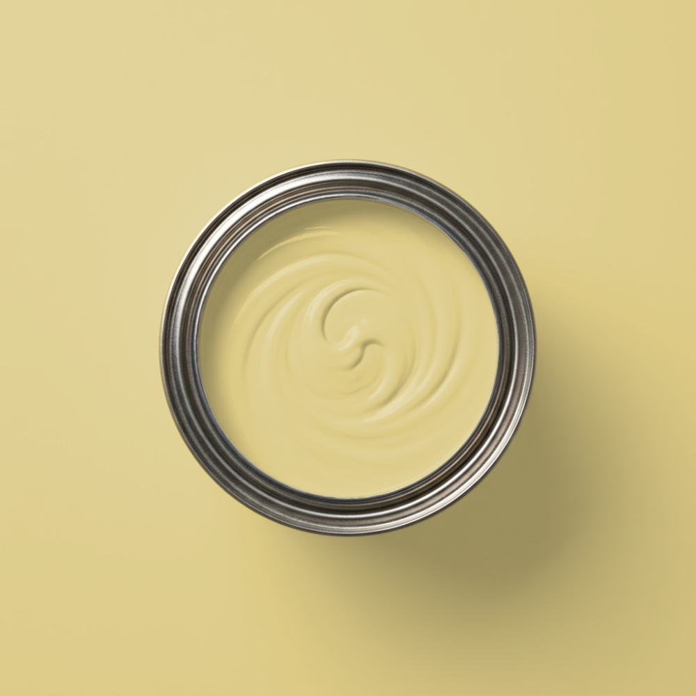 Paint & Paper Library Verf Scallion - 519