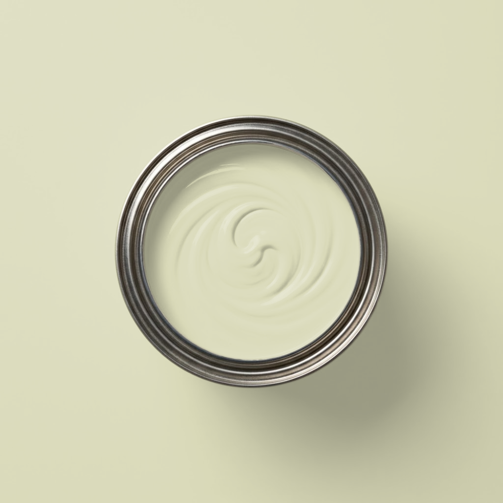 Paint & Paper Library Verf Willow IV - 534