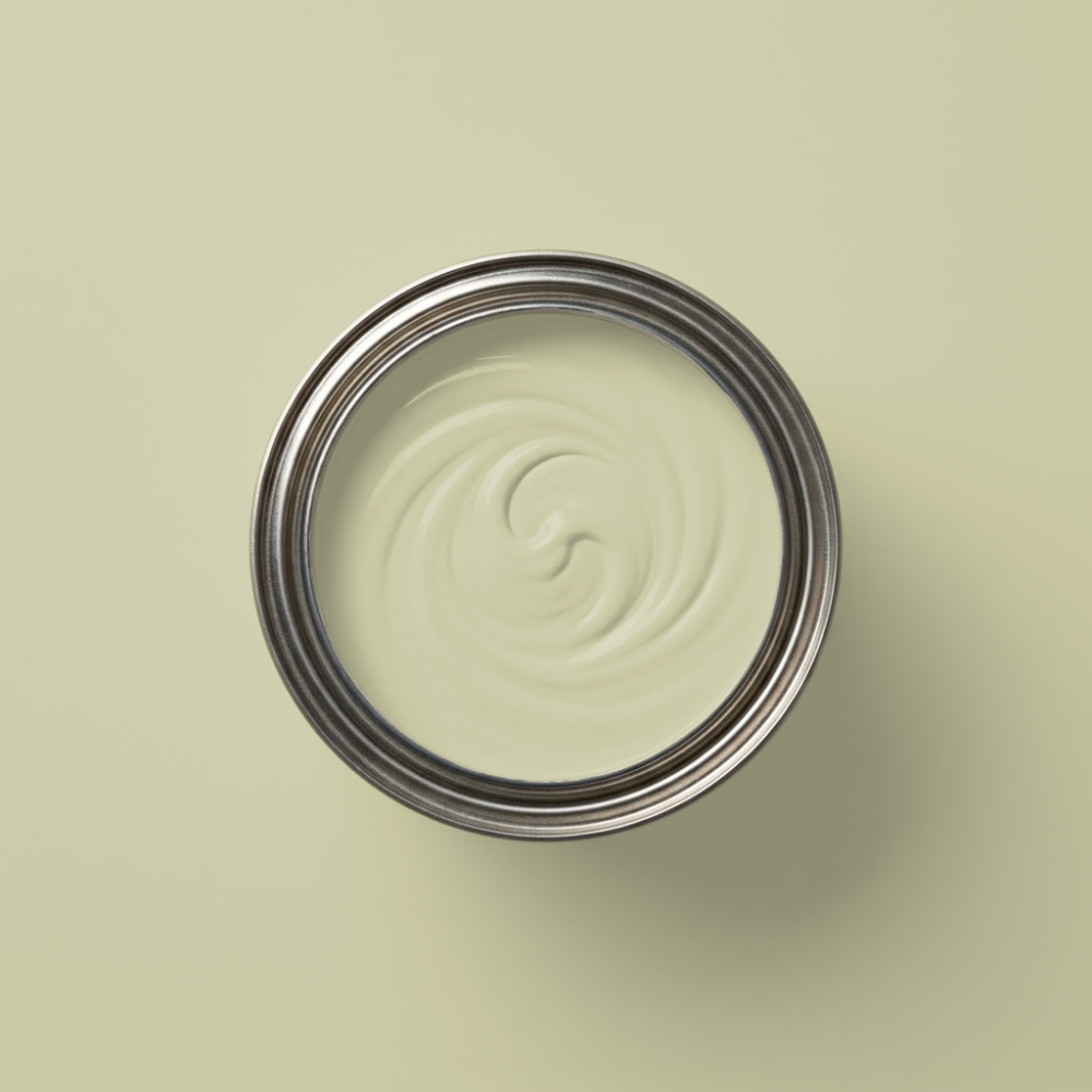Paint & Paper Library Verf Willow V - 535