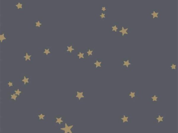 Behangstaal: Cole & Son Whimsical Stars - 103/3017
