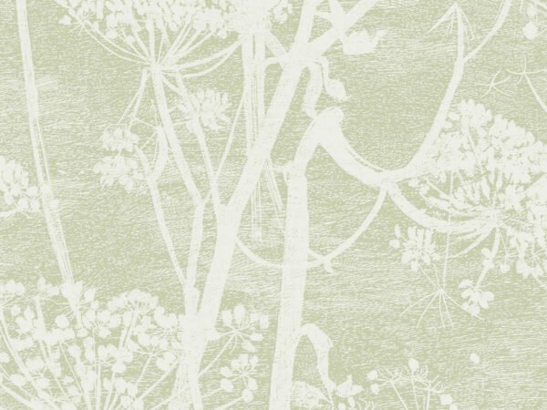 Behangstaal: Cole & Son Icons Cow Parsley - 112/8029