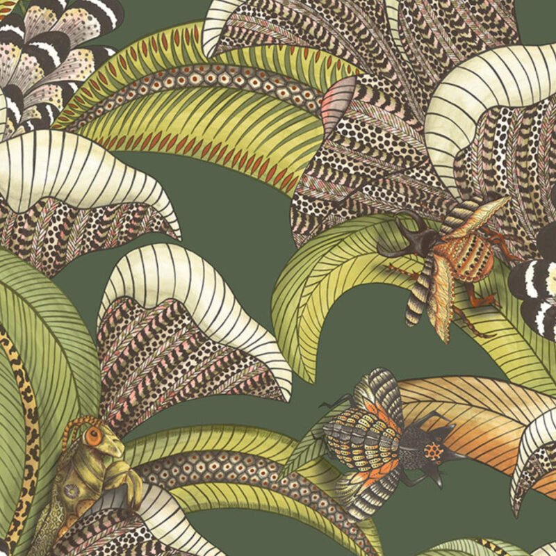 Behangstaal: Cole & Son Ardmore - Jabula Hoopoe Leaves - 119/1003