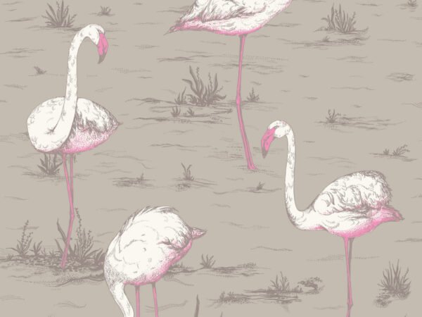 Behangstaal: Cole & Son The Contemporary Collection Flamingos - 66/6042