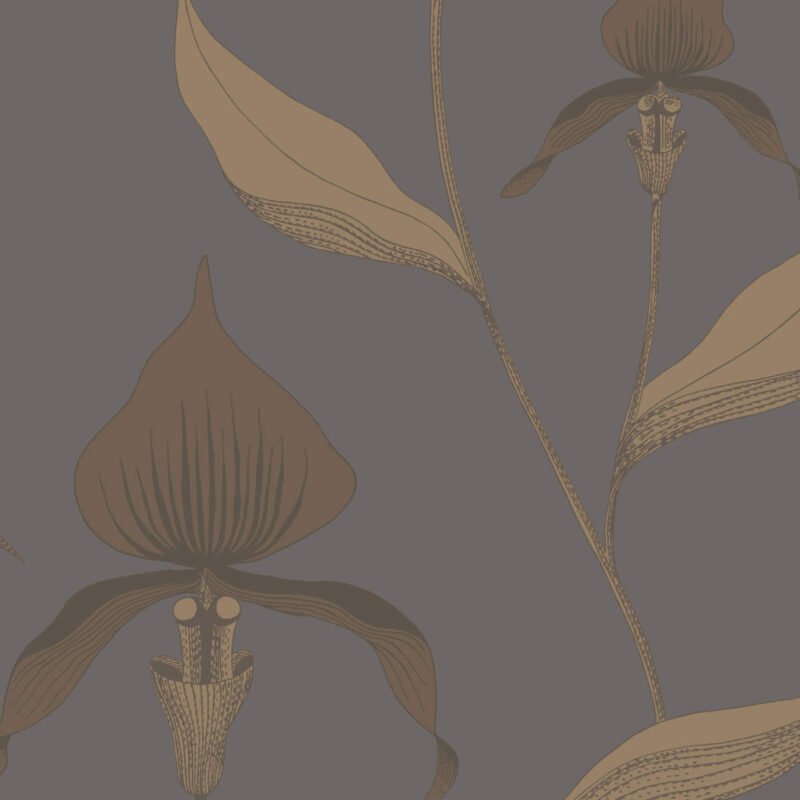 Behangstaal: Cole & Son The Contemporary Collection Orchid - 95/10056