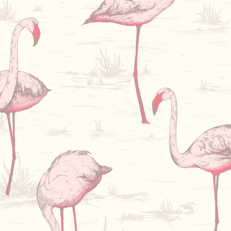 Behangstaal: Cole & Son The Contemporary Collection Flamingos - 95/8045
