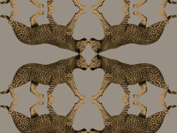 Behangstaal: HookedOnWalls Leopard Walk Sabor - 15330